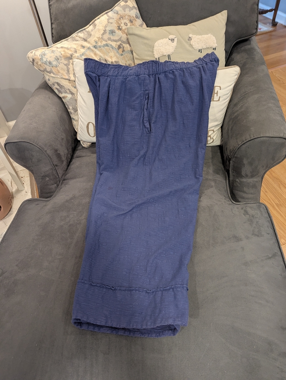 Iridium Capri Pants, 1X